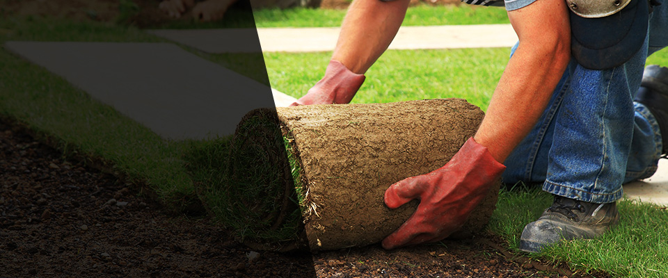 Mechanicsville Landscapers